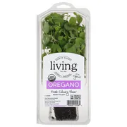 North Shore Living Herbs + Greens Oregano