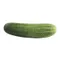Organic Pickling (Kirby) Cucumber