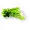 Celery Sticks
