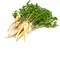 Parsley Roots