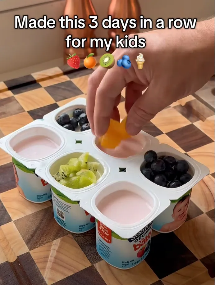 Yogurt Cup Fruit Ice Pops