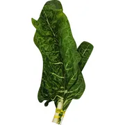Cal-Organic Farms Chard, Green, Organic