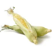 Corn - On The Cob