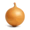yellow onion