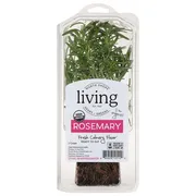 North Shore Living Herbs + Greens Rosemary