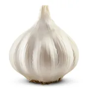 Sleeve Garlic Bulb