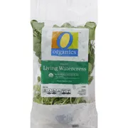 O Organics Watercress, Living, Organic