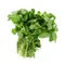 Watercress Bunch