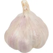 Organic Garlic