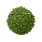dried parsley