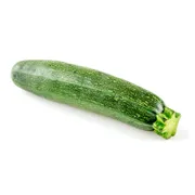 Baby Zucchini Squash