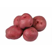 Organic Red Potato