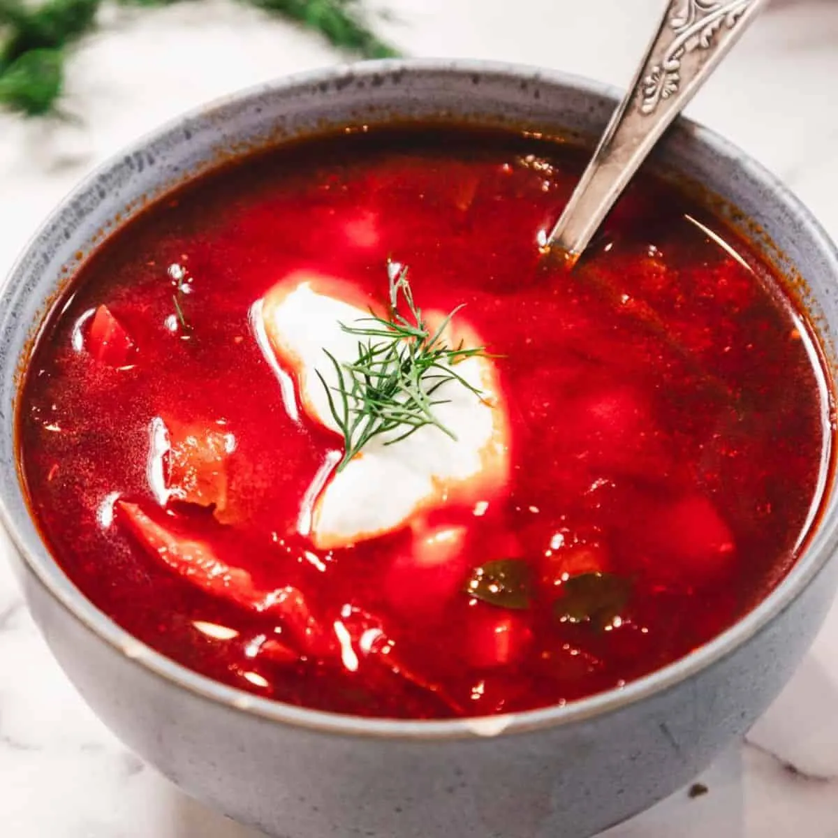Chicken Borscht
