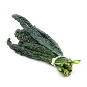 Lacinato (Dinosaur) Kale