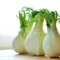 Organic Fennel Bulb, ea