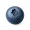 fresh blueberries