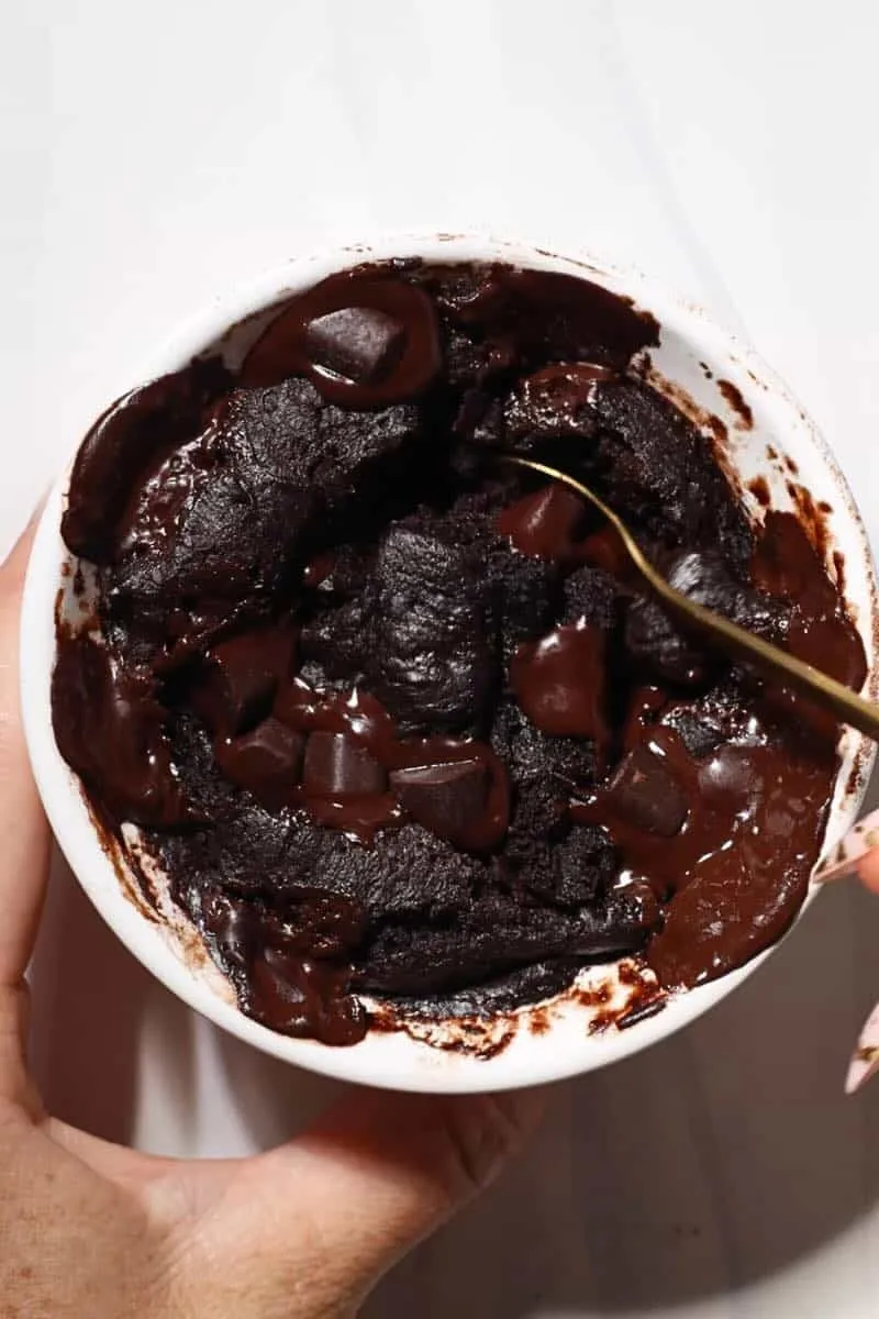 Best Protein Powder Mug Brownie (No Egg Gluten Free)