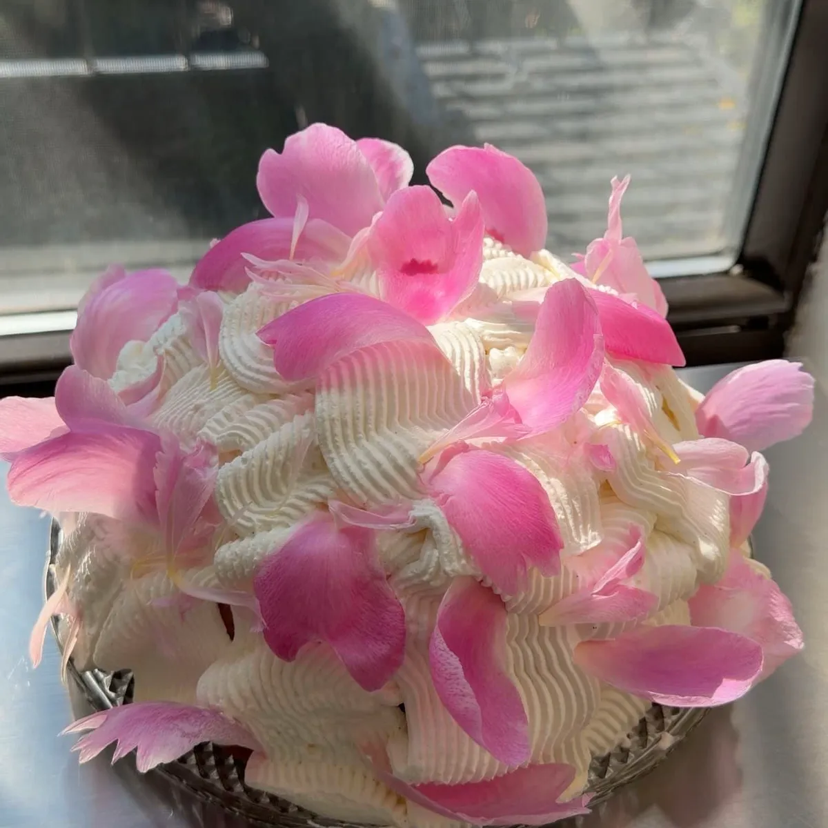 Berries & Cream Cake