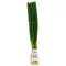 Organic Green Onions (per bunch)