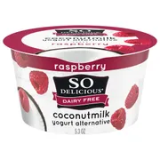 So Delicious Dairy Free Coconut Milk Raspberry