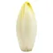 Fresh Endive