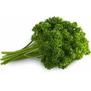 Persil Leaf
