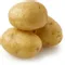Yukon Gold Potato
