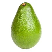 Organic Fuerte Avocado