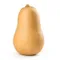 Butternut Squash