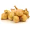 Pearl Onion