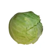 Organic Wrapped Cabbage