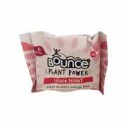 Bounce Cashew Peanut Protein Energy Ball