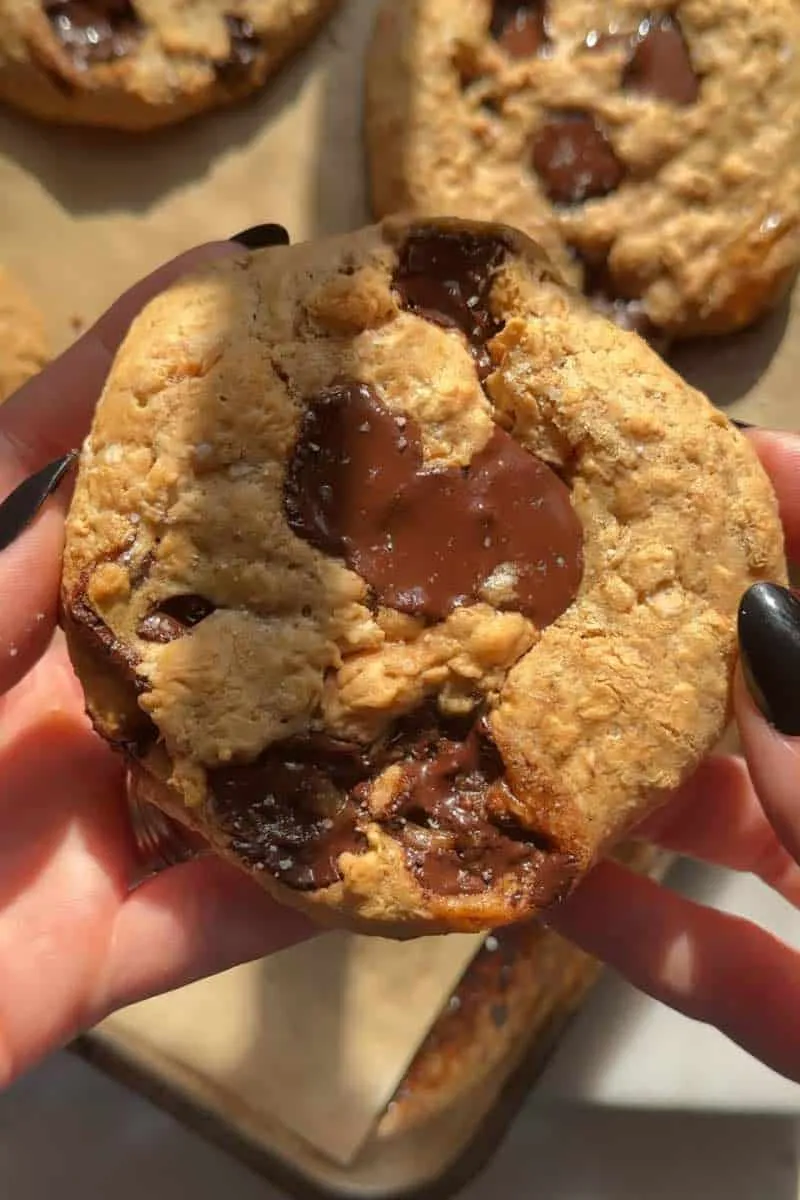 Healthy Oatmeal Chocolate Chip Protein Cookies Recipe