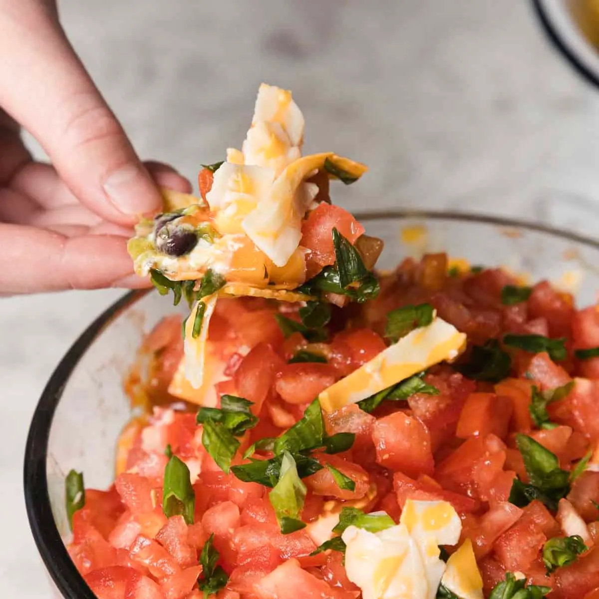 Seven Layer Vegetarian Dip