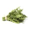 Dandelion Greens