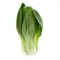 Bok Choy
