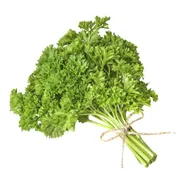 Curly Parsley