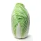 Napa Cabbage