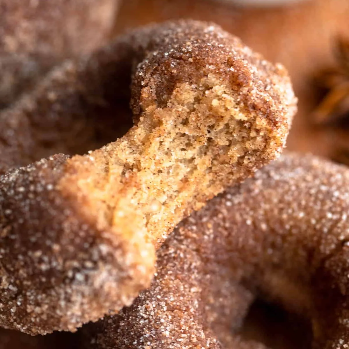 Gluten Free Cinnamon Sugar Donuts
