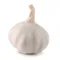 Garlic Package