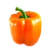 Hot House Orange Bell Pepper