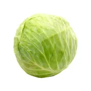 Organic Green Savoy Cabbage