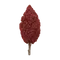 sumac
