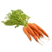 Carrot