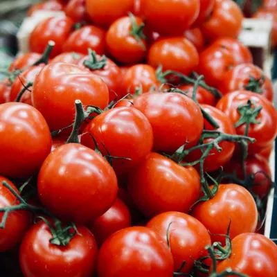 Recipe 'How to Freeze Tomatoes'