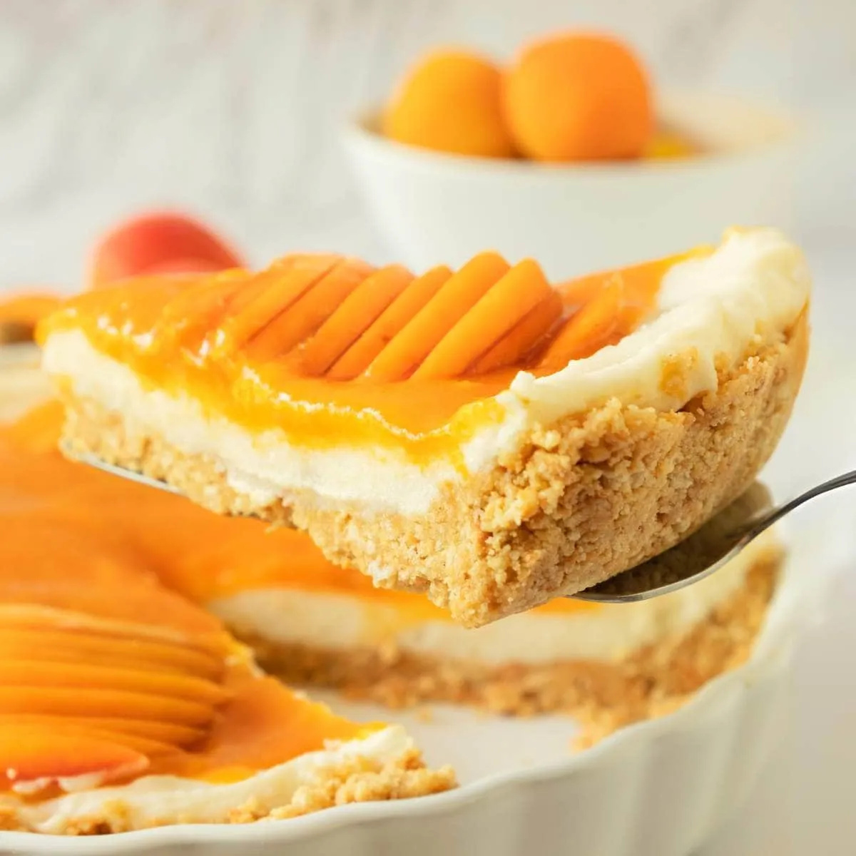 Apricot Cheesecake Recipe
