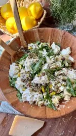 Pesto Burrata Pasta Salad