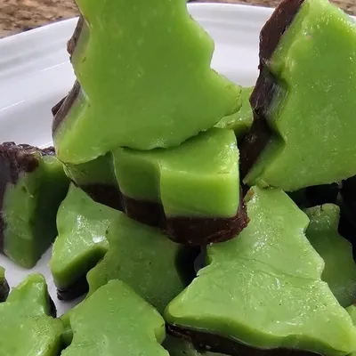 Recipe 'Mint Chocolate Fudge'