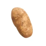 X-Large Russet Potato (1 potato)
