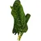 Cal-Organic Farms Chard, Green, Organic